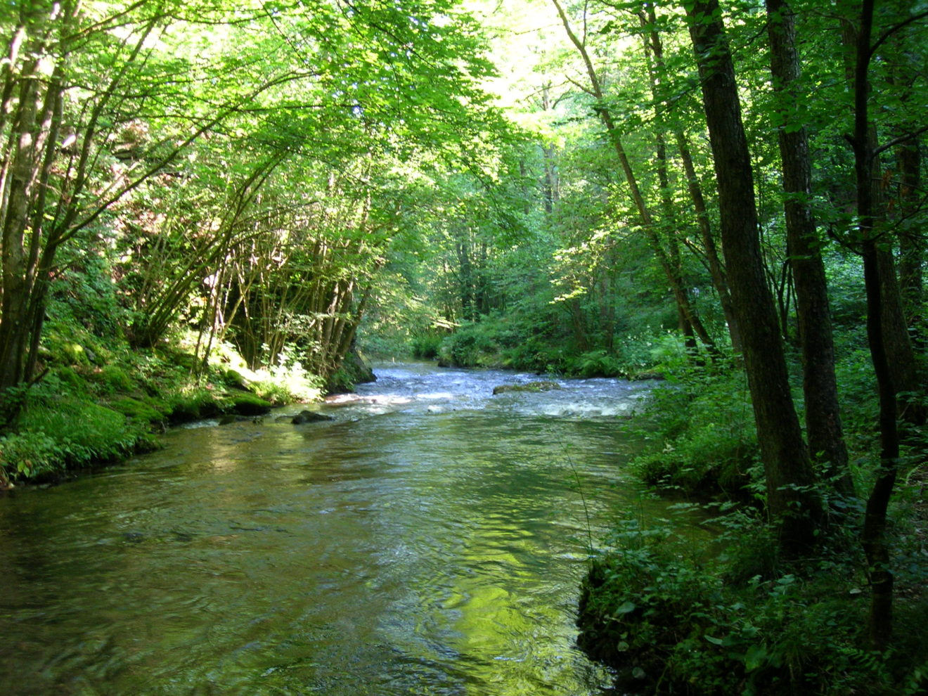 Le Gouvernement wallon renforce son partenariat avec les Contrats de Rivière