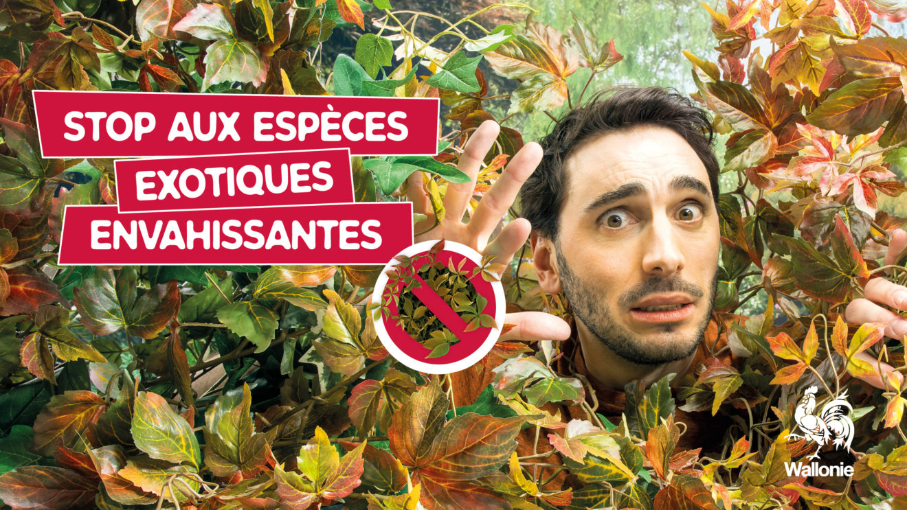 EEE : pourquoi votre vigilance compte ?