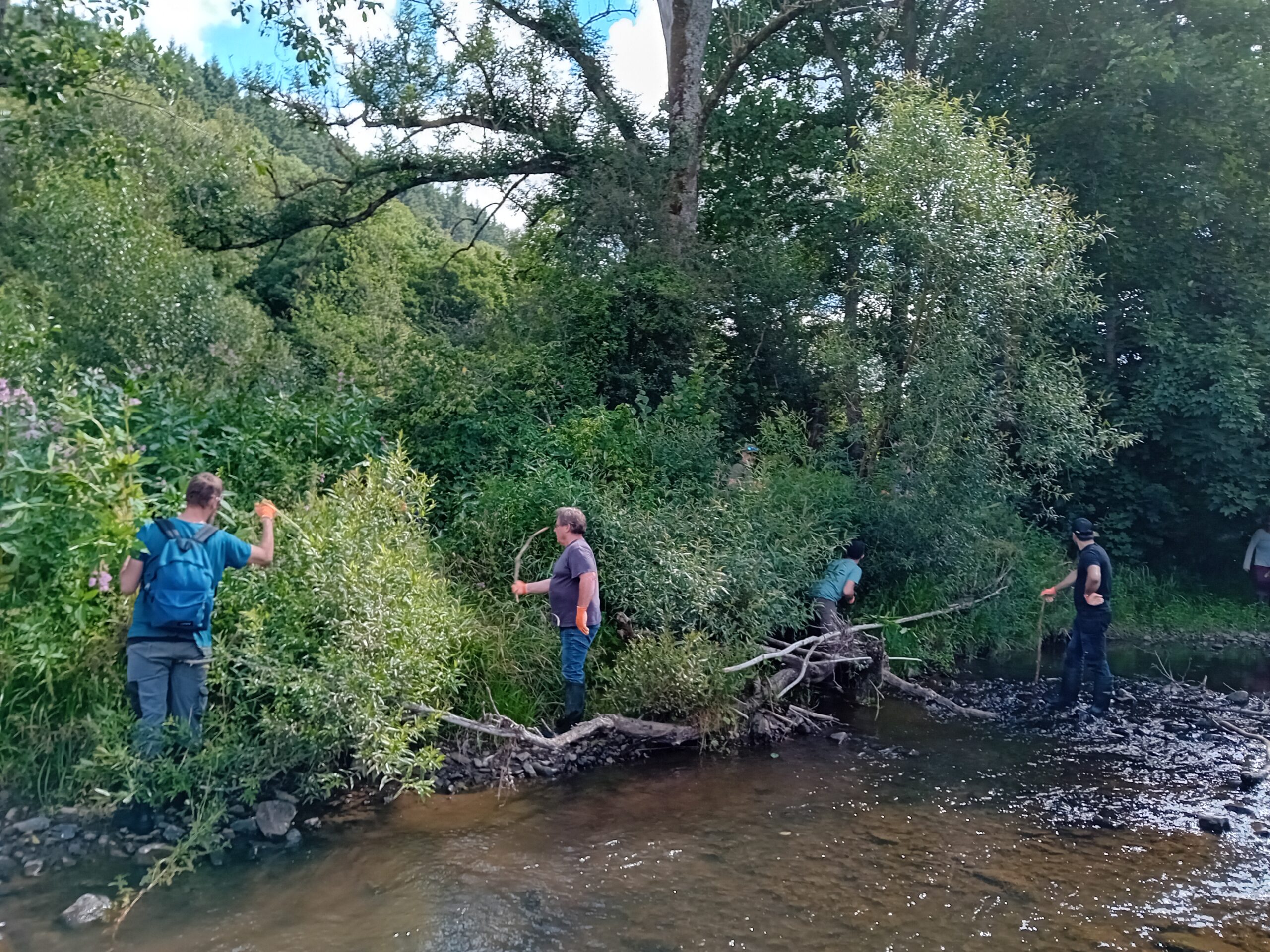 Bénévoles nettoyant la rivière