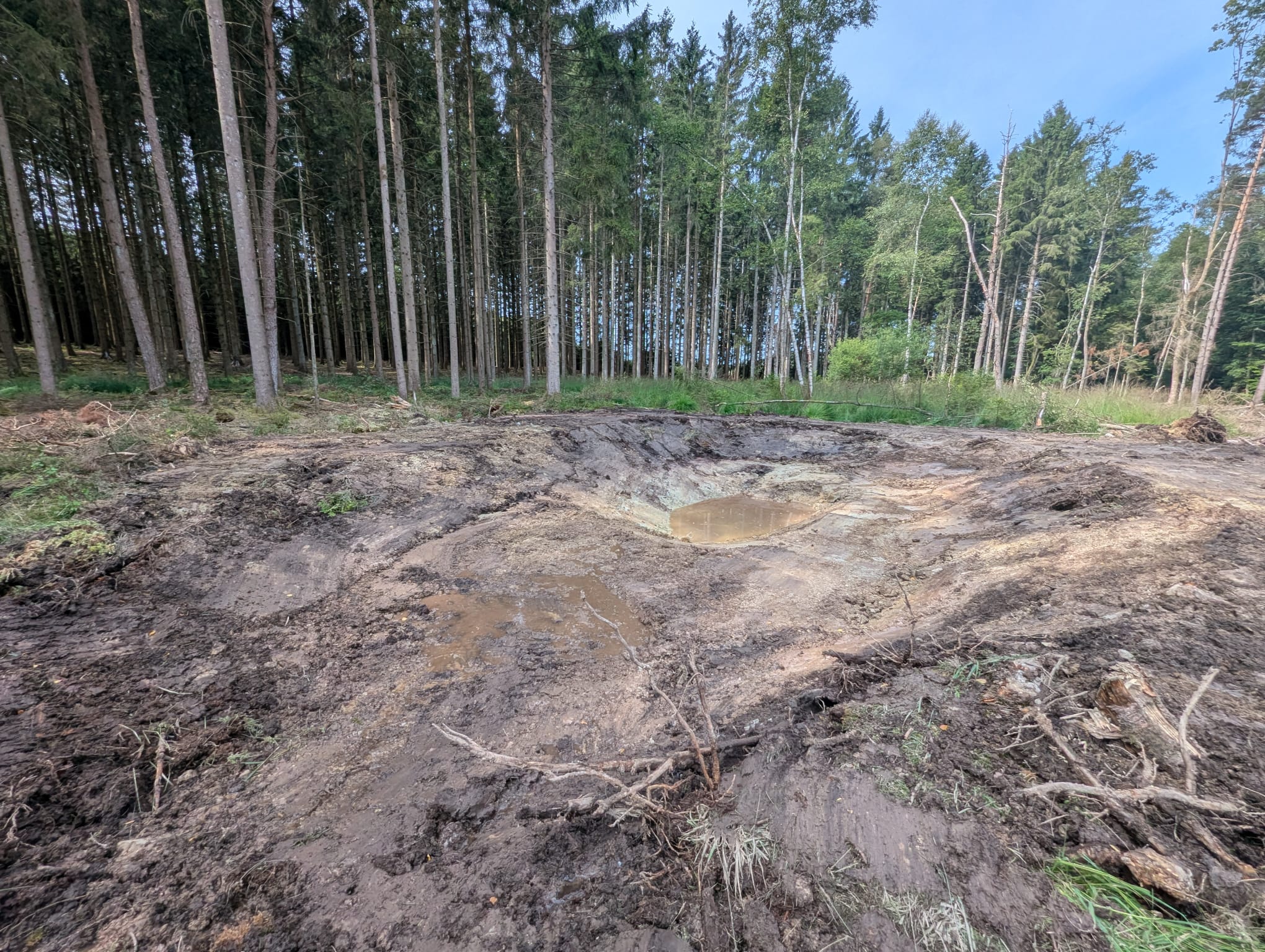 Faune aquatique et biodiversité retrouvée