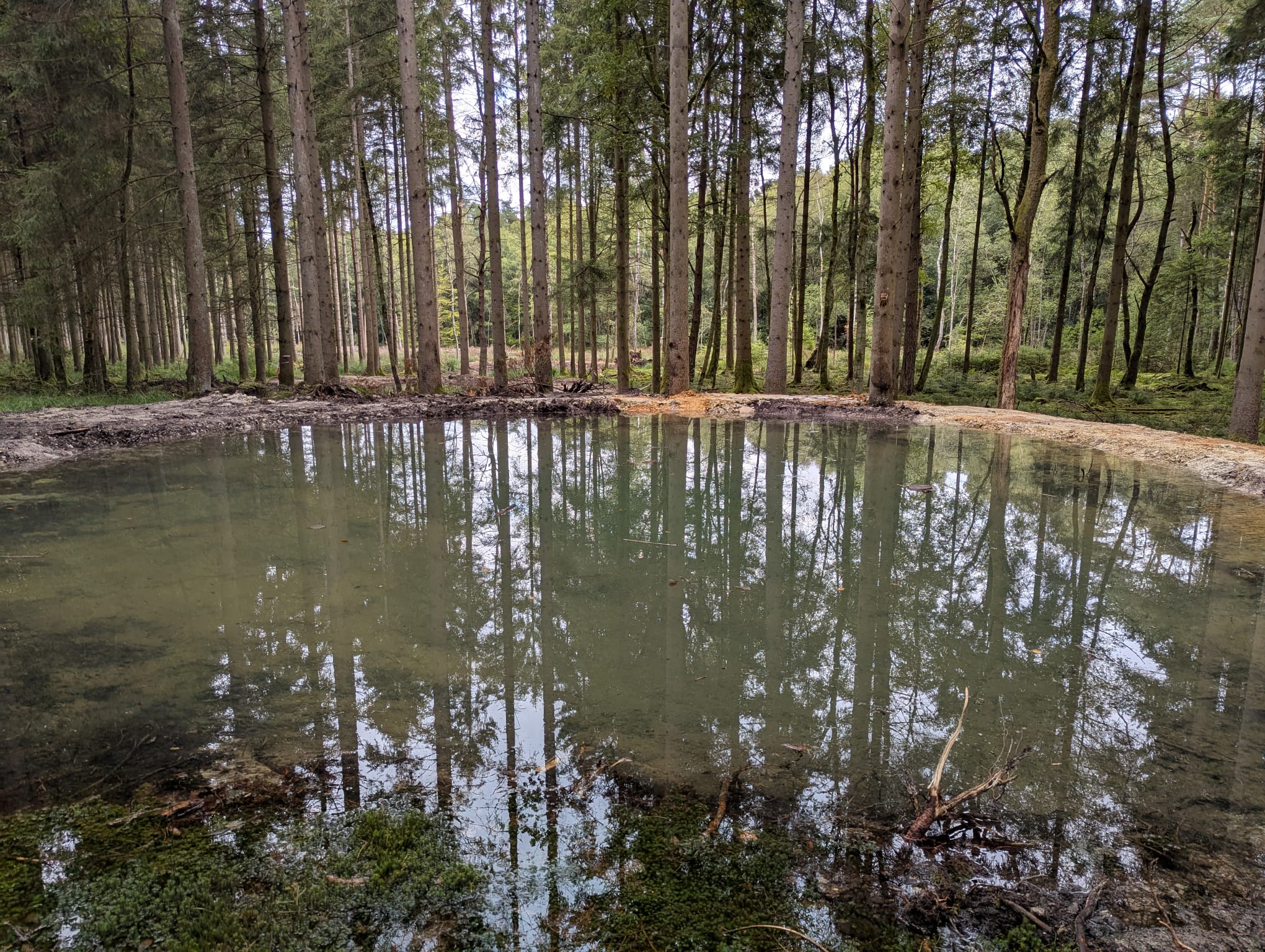 Travaux de restauration écologique sur le lit de la rivière