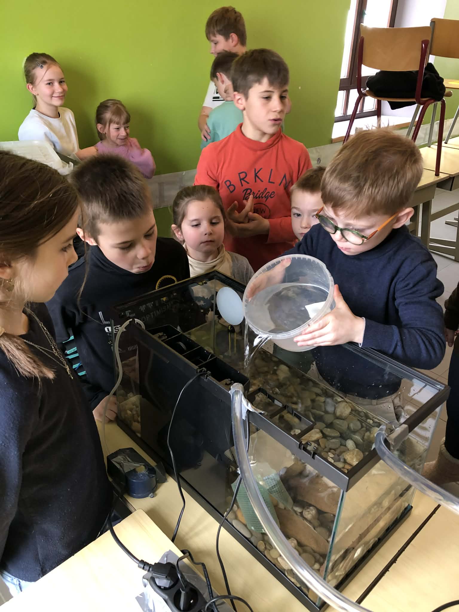Élevage de saumons en classe