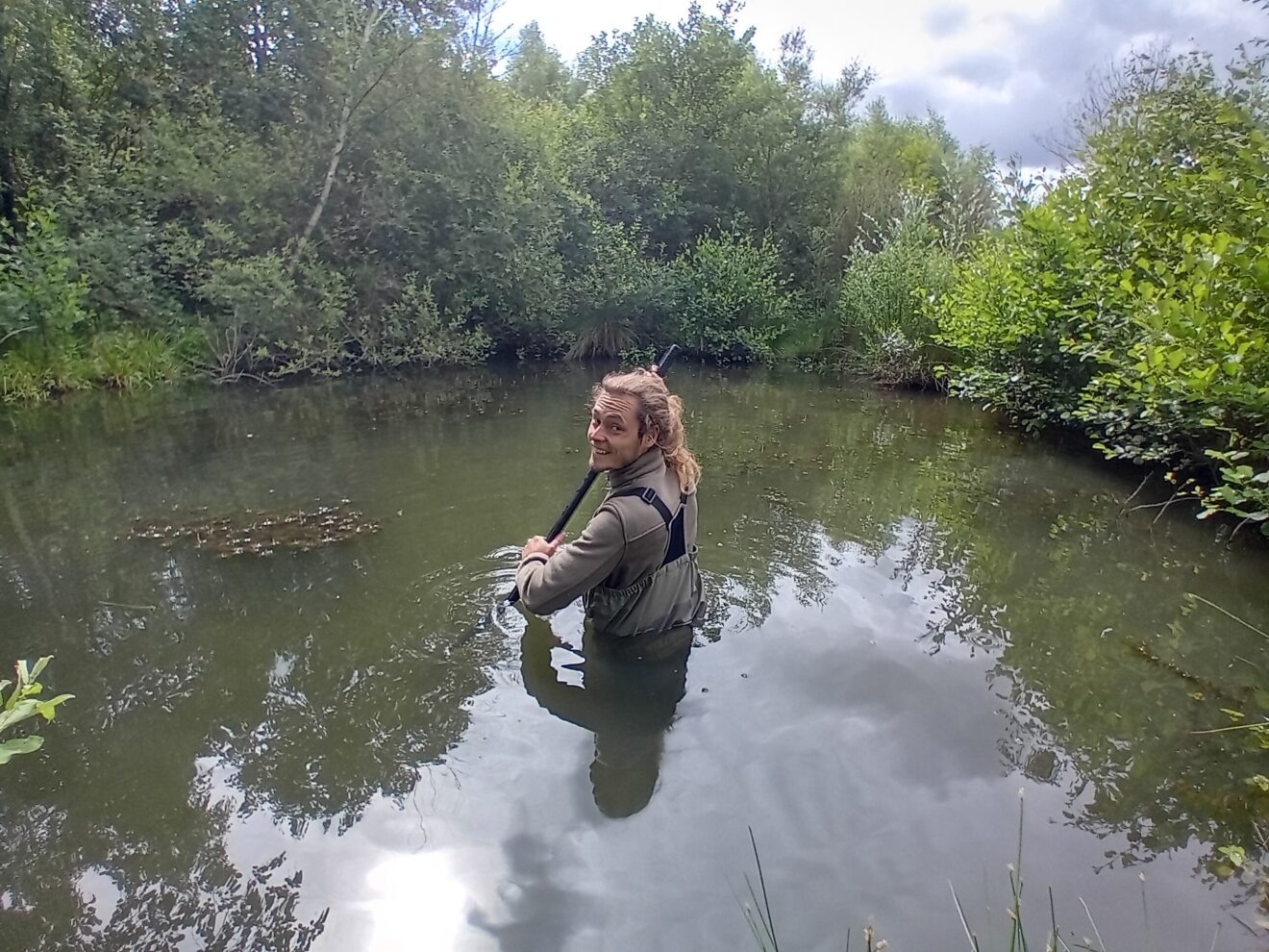 Votre point d’eau cache-t-il une plante invasive ?