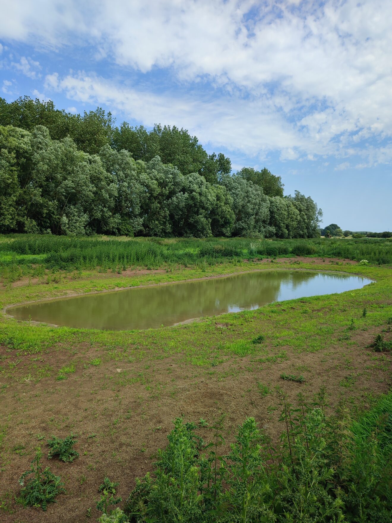 L’hydrologie régénérative en milieu agricole